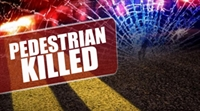 Pedestrian Accident in New Market Township Claims Life of Joseph Norgaard