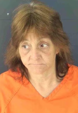 Hit-and-run arrest: Kathy Dove in North Port accident